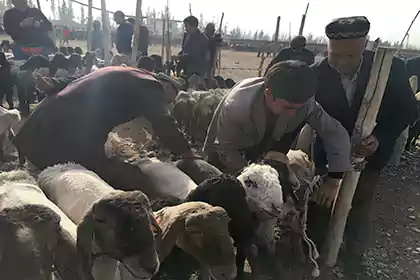 Kashgar sunday bazzar