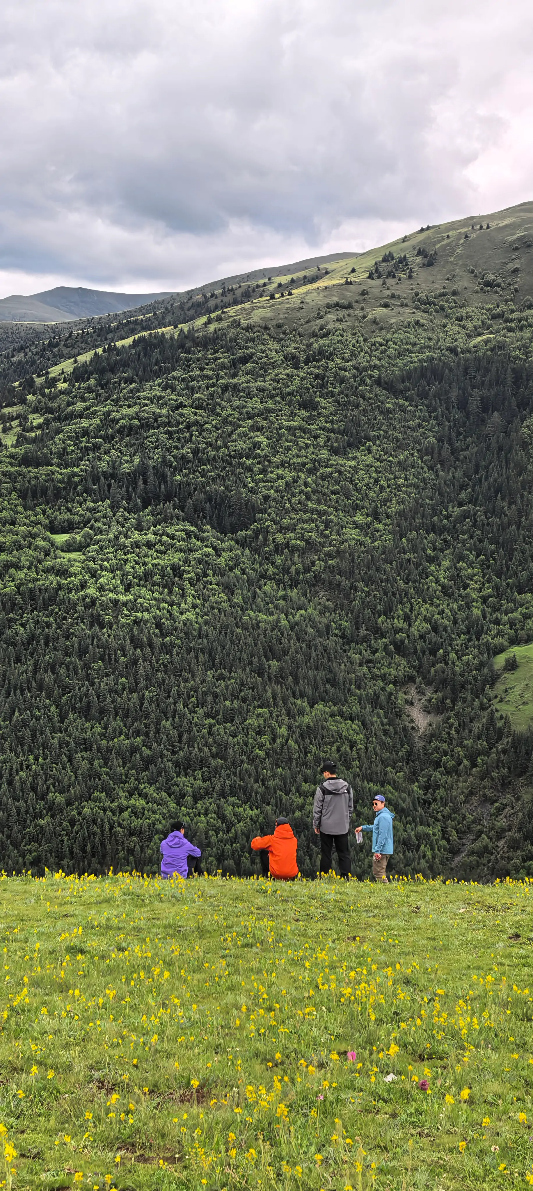 Genie Trekking Scenery