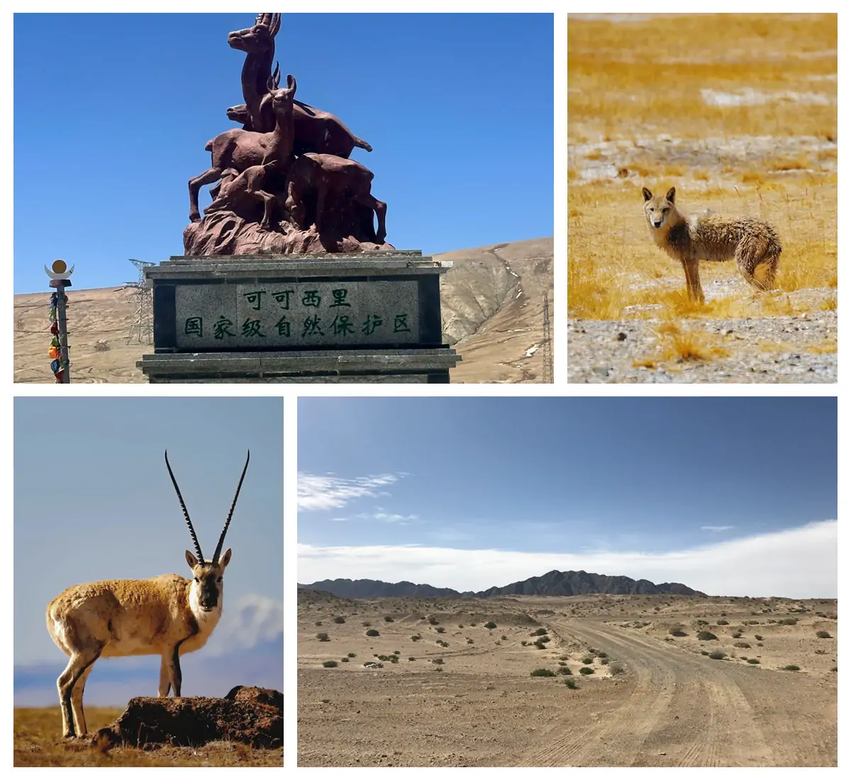 Kekexili (Kekexili National Nature Reserve).webp