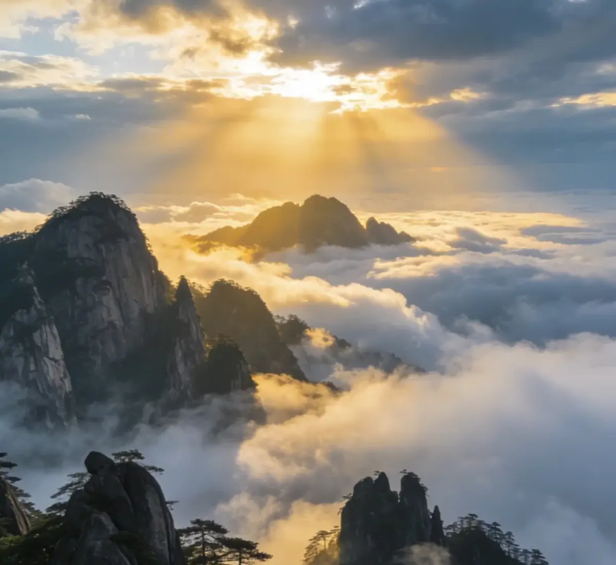 sea of clouds.webp