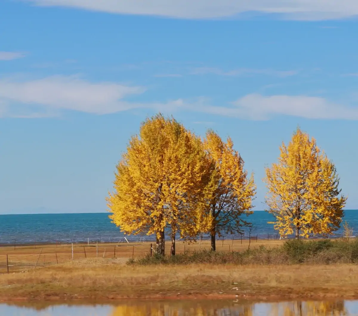 Autumn (September to October) – Fewer Tourists.webp