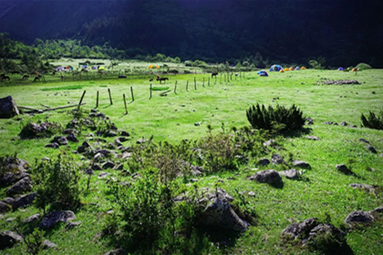 Gexi Grassland