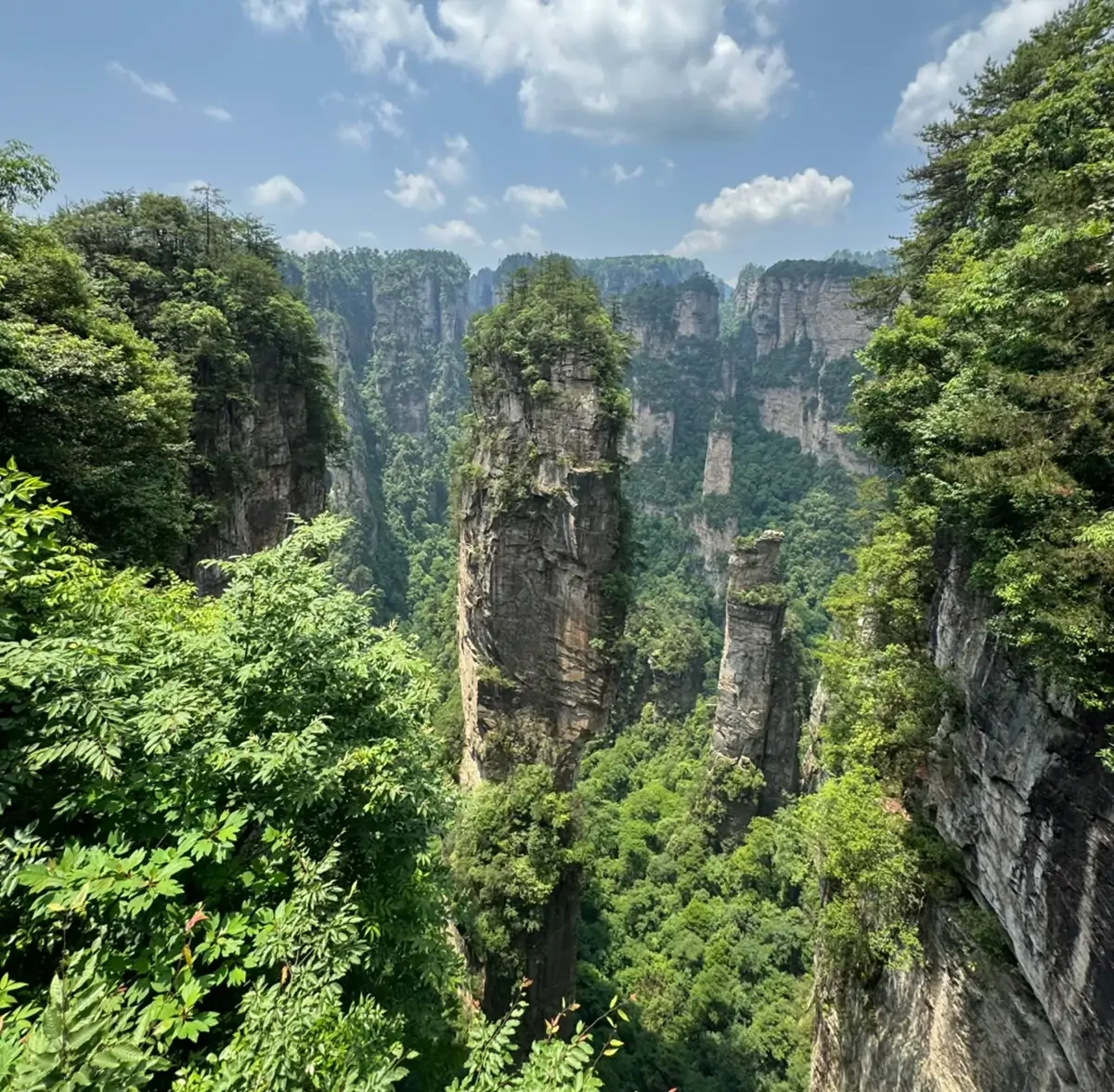 The 'Fushan' in Zhangjiajie.webp