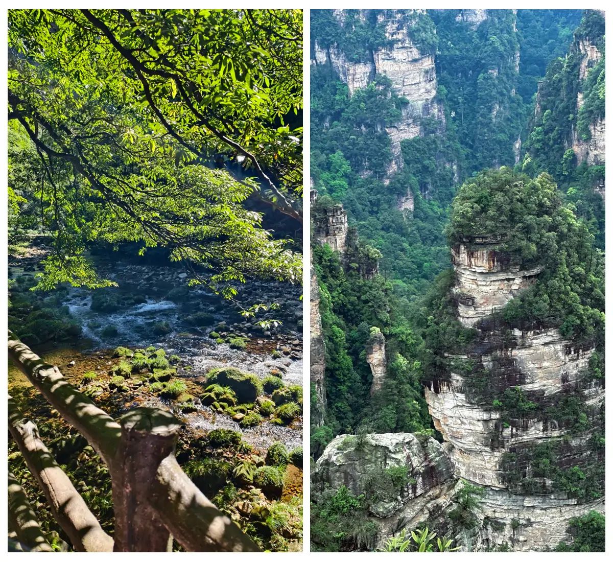 Hiking Tips.webp