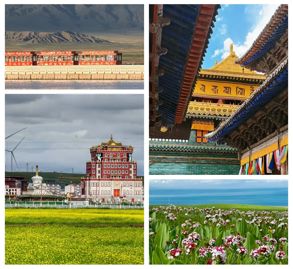 How to tour Qinghai Lake.webp