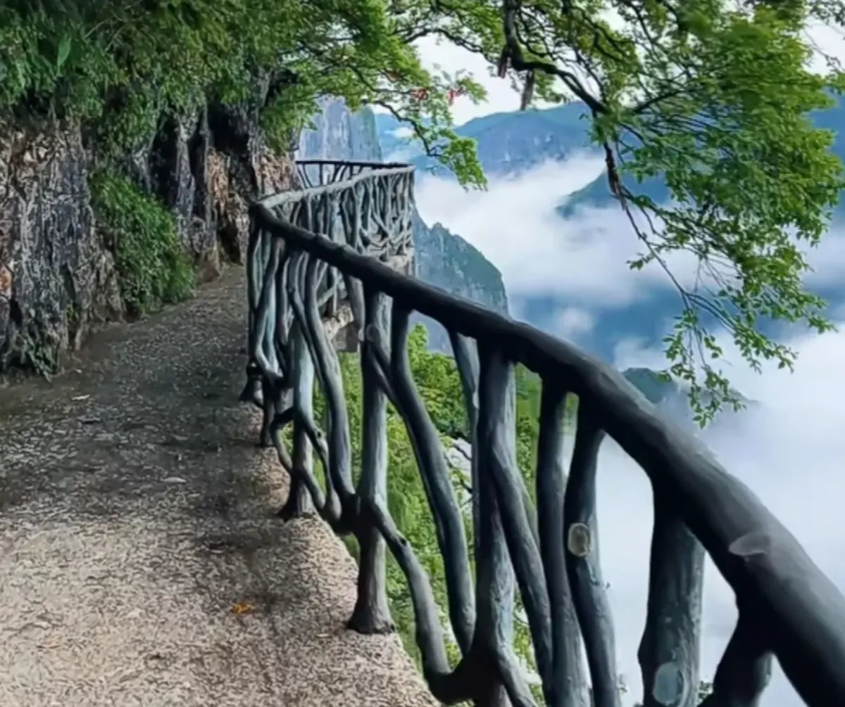 Cliffside Walkways.webp