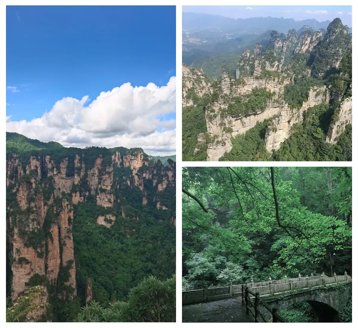 Zhangjiajie National Forest Park.webp
