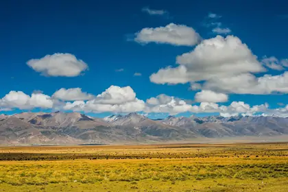 Damxung Grassland