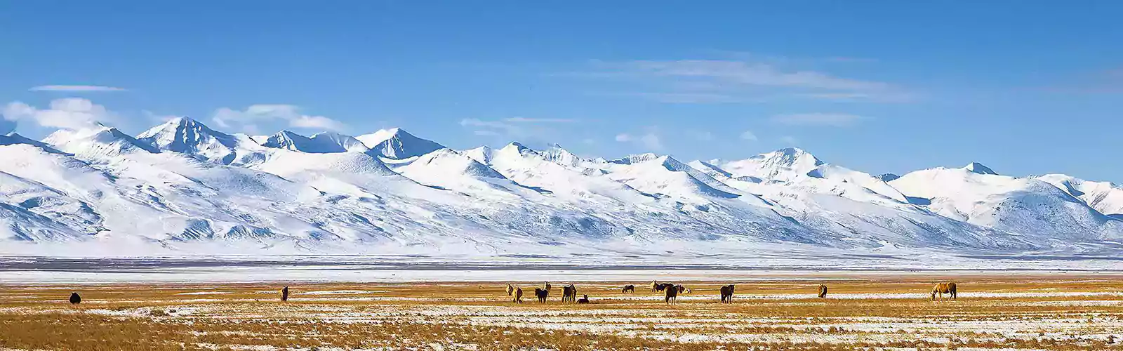 Xinjiang