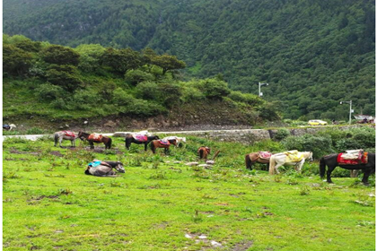 Balang Mountain