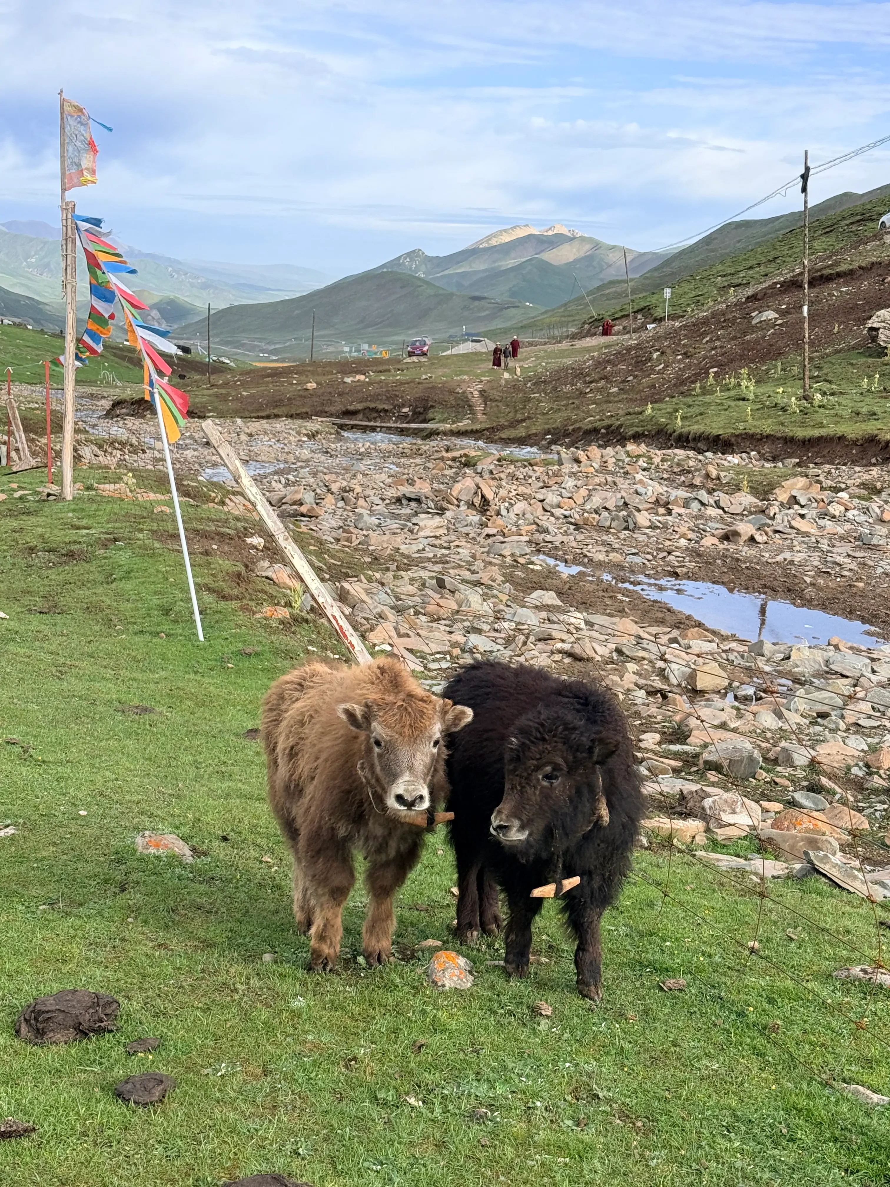Wild Animals during Trek