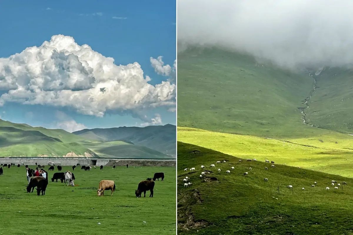 Sangke Grassland