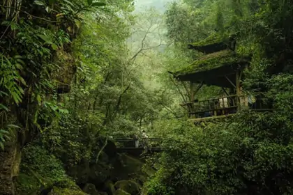 Qingcheng Mountain