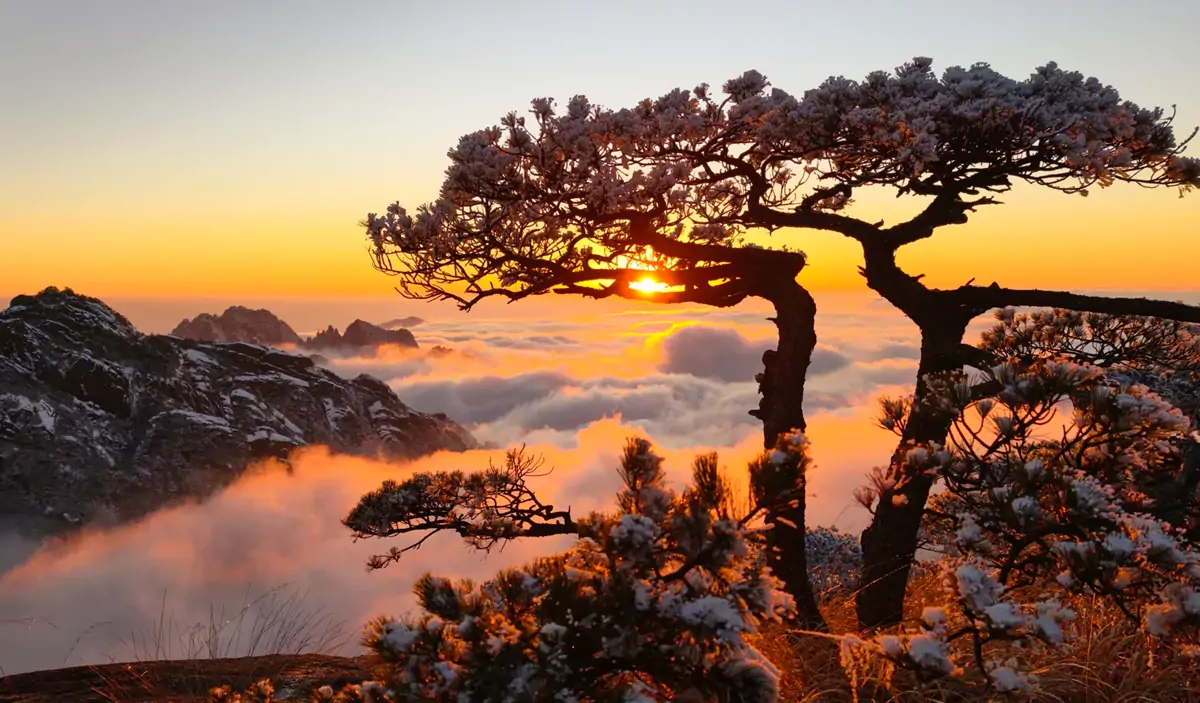 Sunset Glow.webp