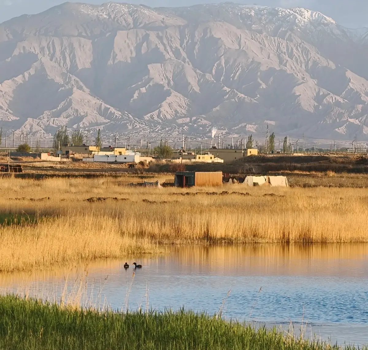 Qinghai Golmud
